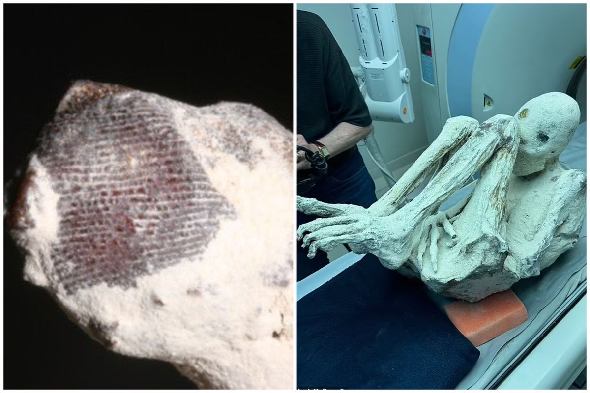 ‘Alien mummies’ discovered in Peru found to have ‘non-human fingerprints’