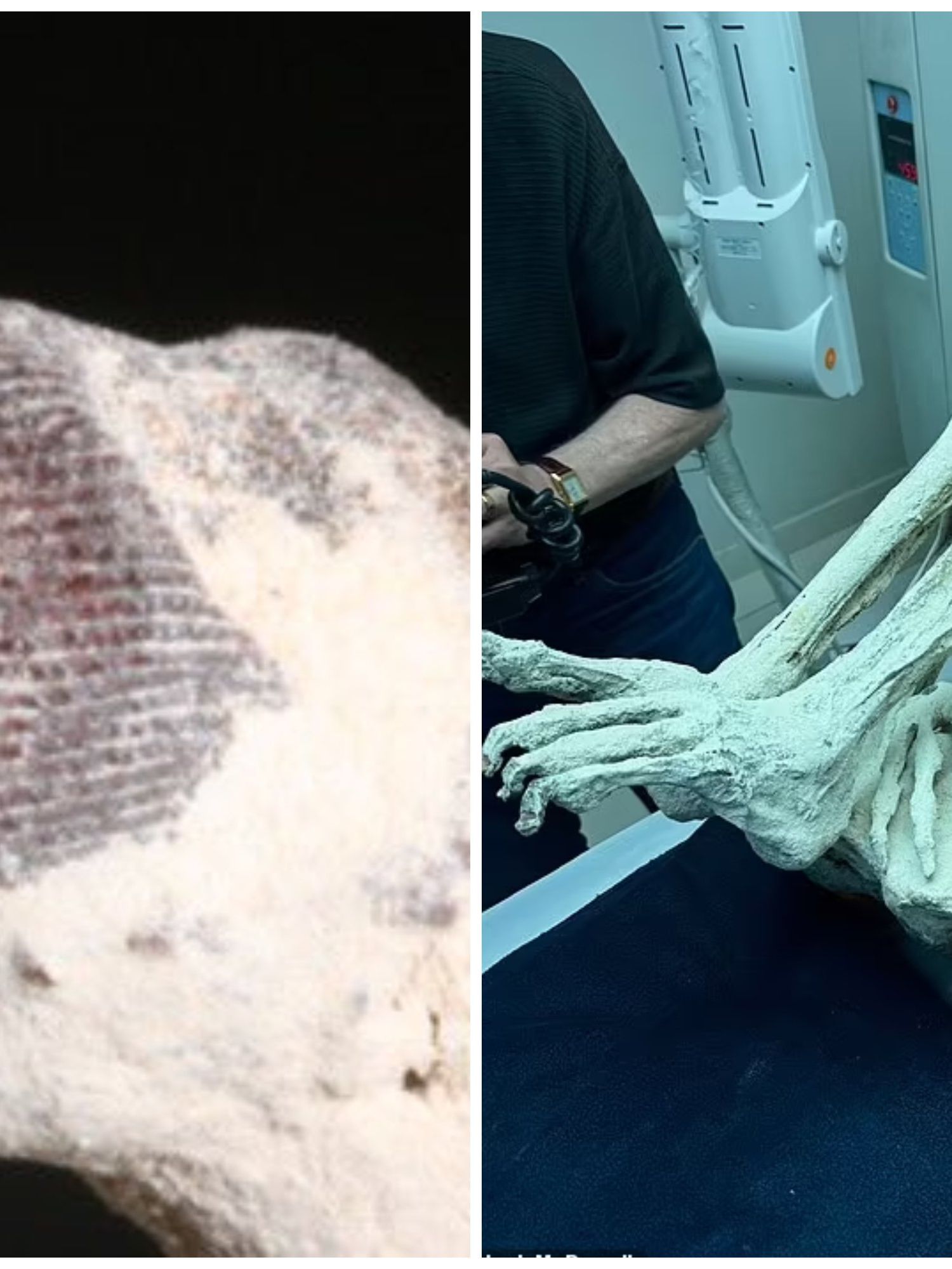 'Alien mummies’ discovered in Peru found to have ‘non-human fingerprints’