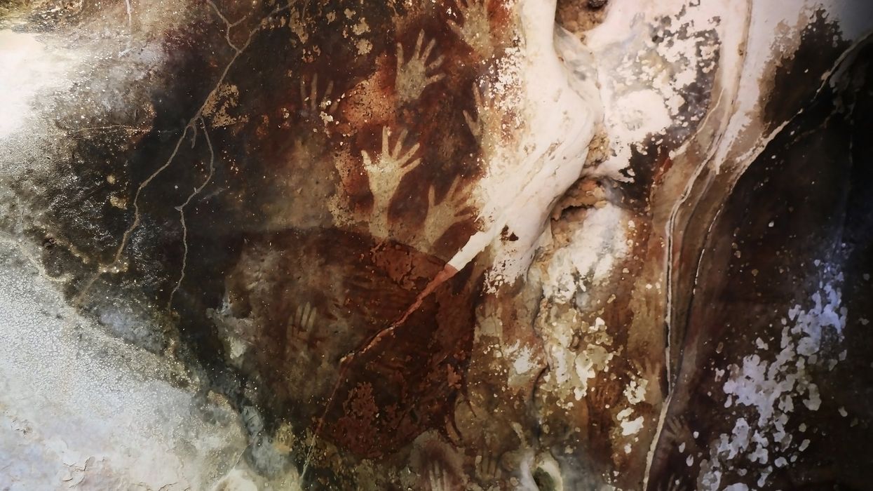 Oldest cave art in the world discovered – and it wasn't made by humans