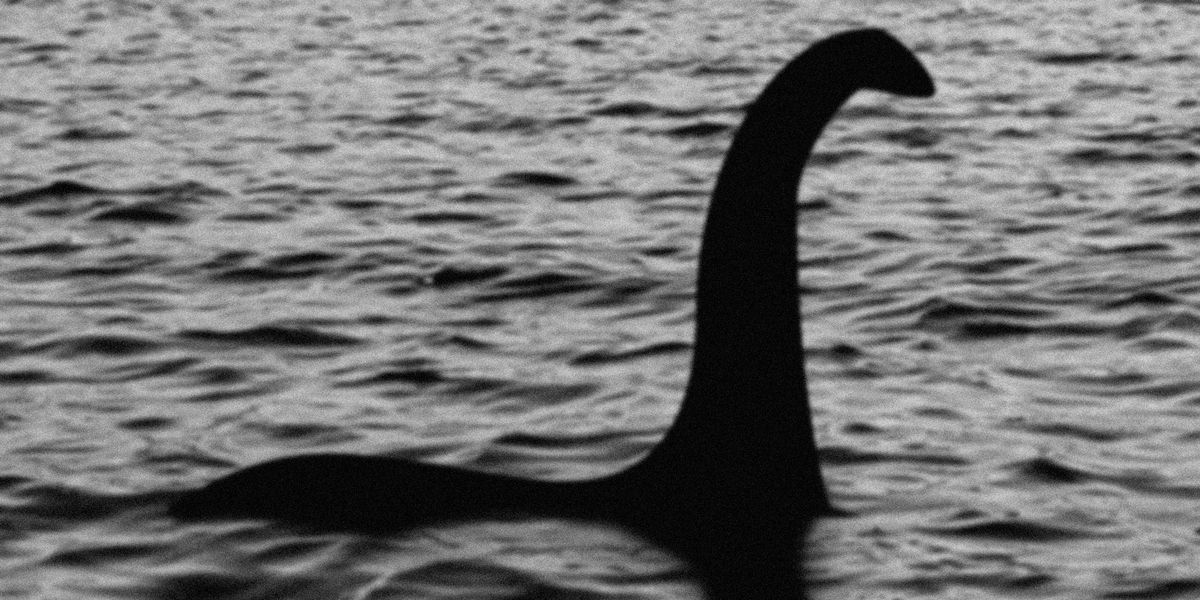 Evidence Library Icon Groundbreaking Loch Ness research reveals that 'mini-monsters' are in ...
