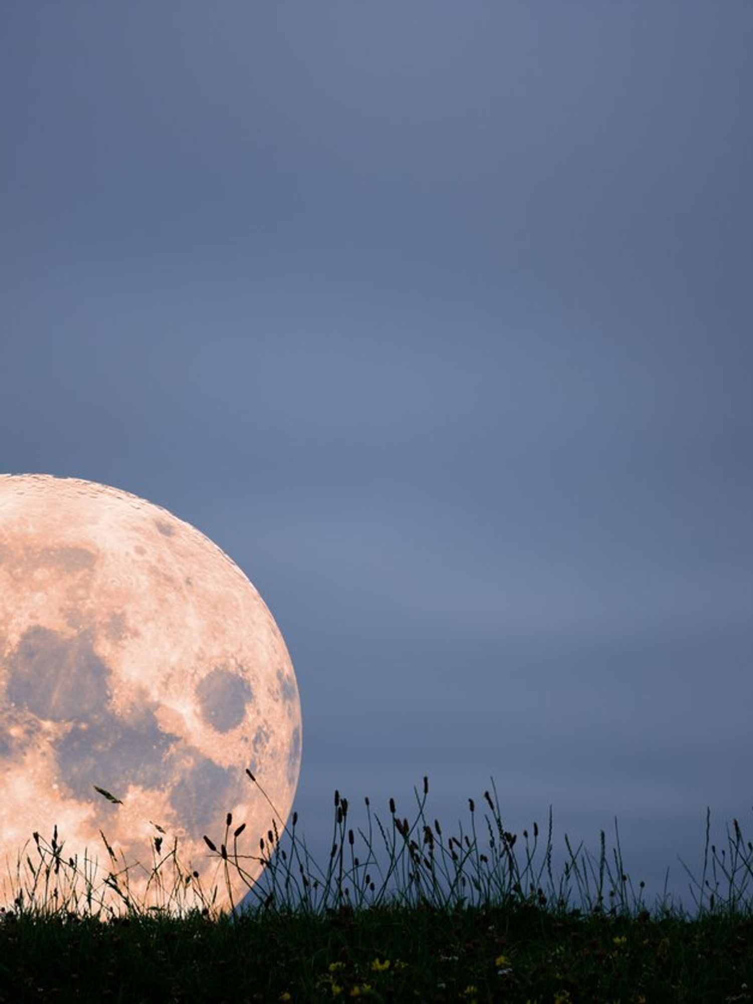The 'Moon illusion' has been baffling scientists for thousands of years