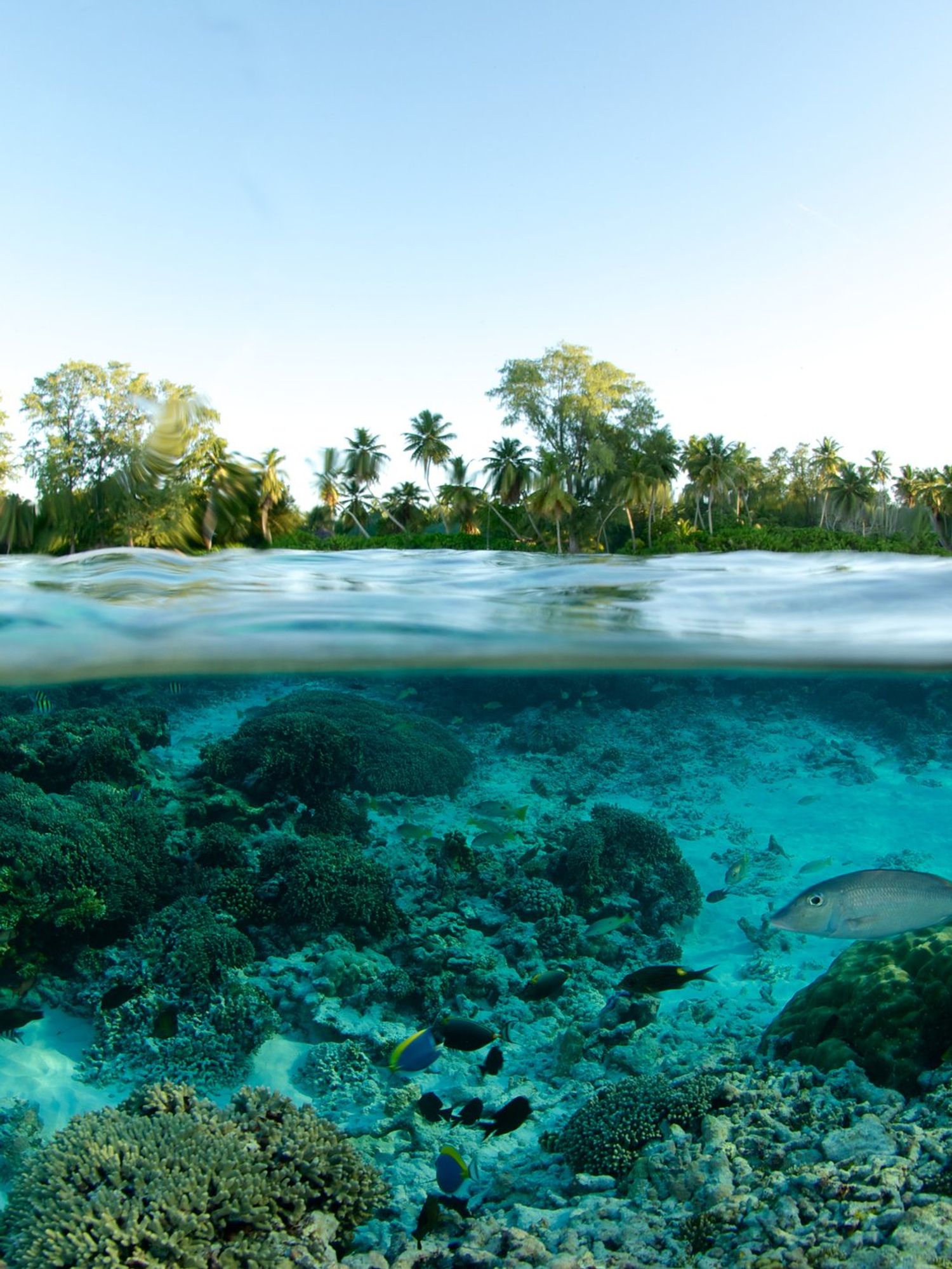 Scientists discover underwater event that wiped out nearly all life 250 million years ago