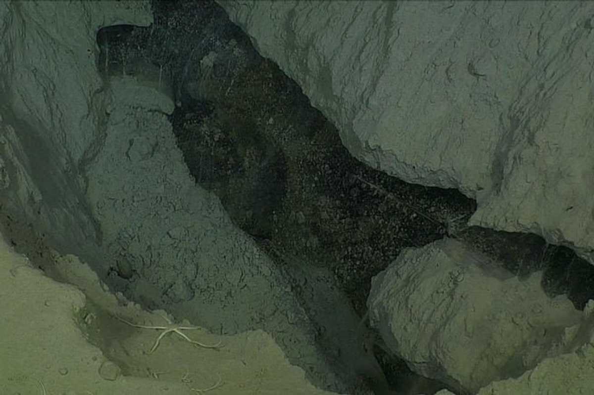 Strange 'modern' structures discovered on the Arctic seafloor