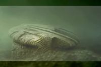 'Alien' structure 'with stairs' discovered at the bottom of the Baltic Sea