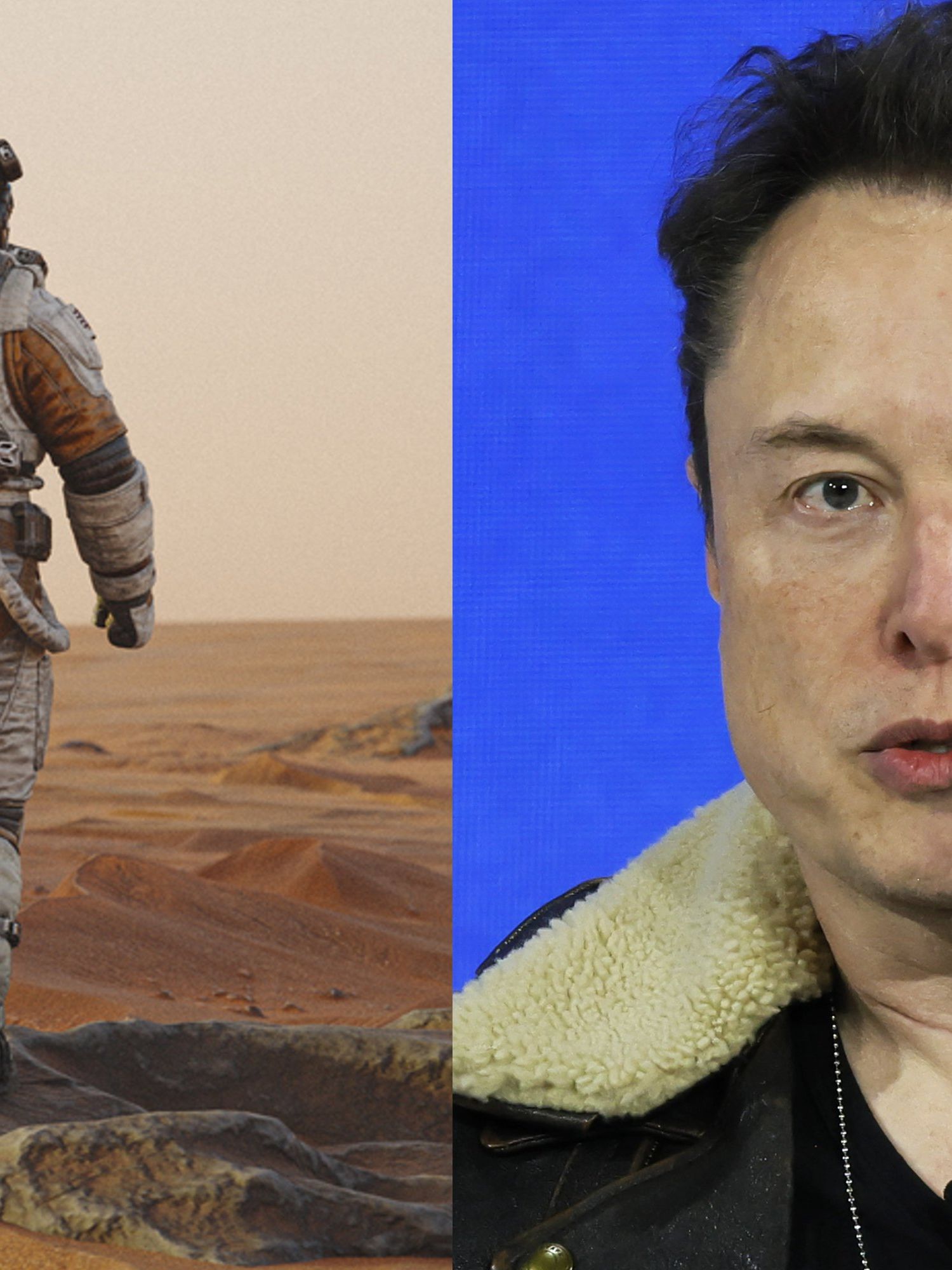 Elon Musk's mission to colonise Mars will 'ruin the planet,' top scientist warns