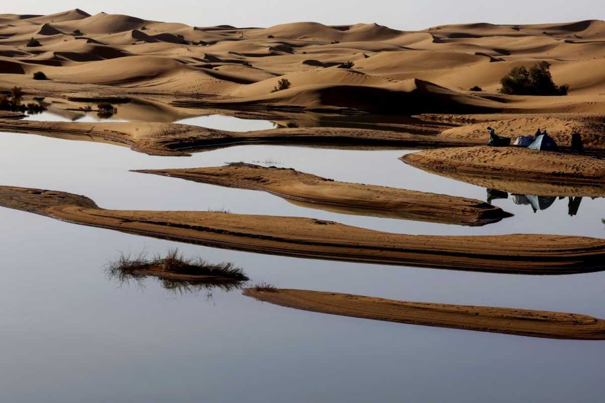 See how rare intense rainfall completely transforms Sahara desert