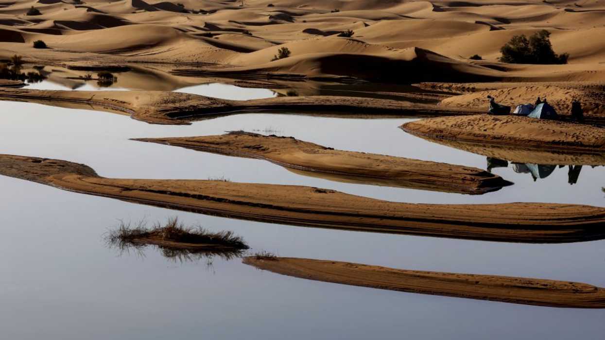 See how rare intense rainfall completely transforms Sahara desert