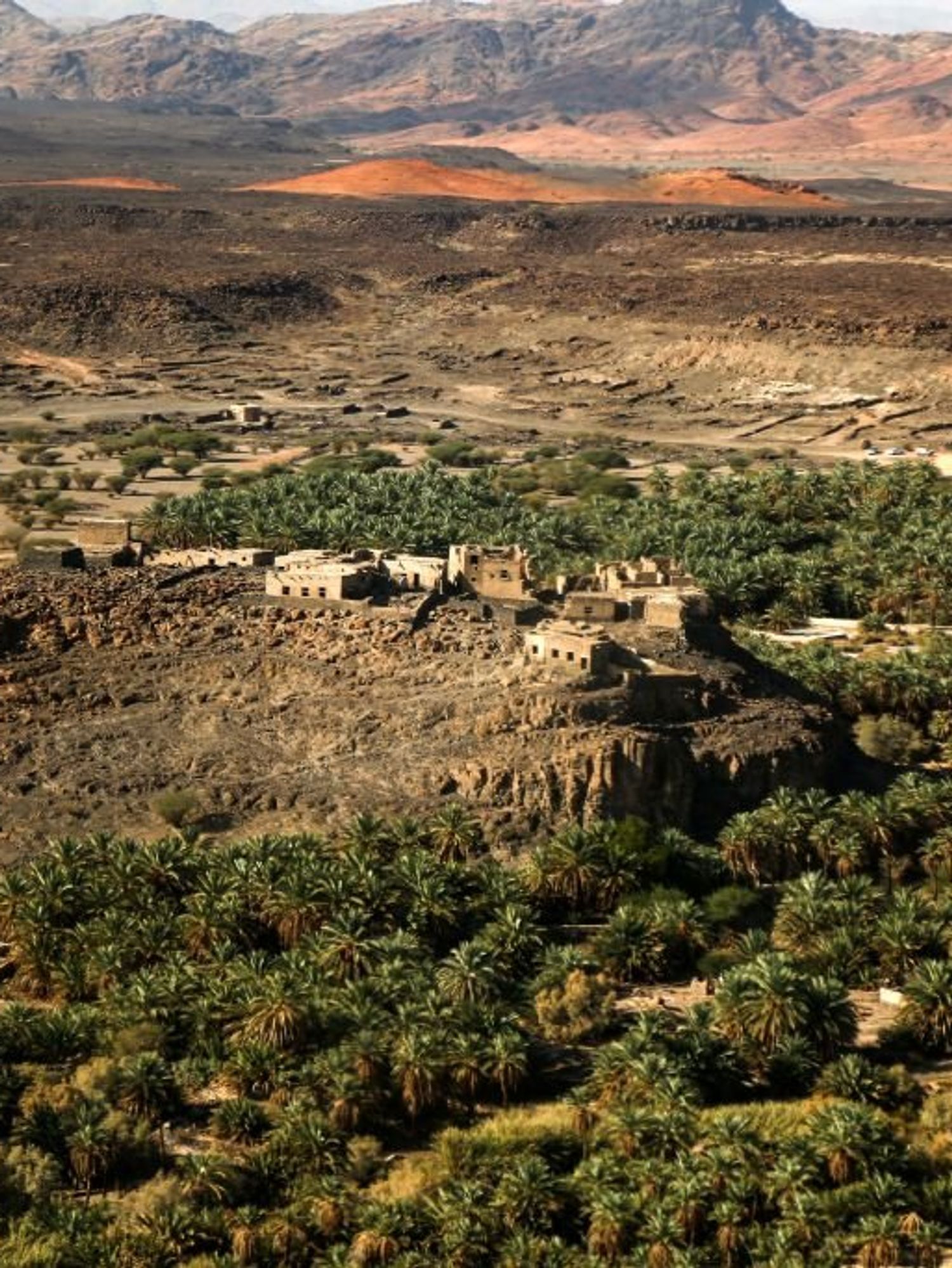 Ancient town dating back to 2,400 BC discovered in Saudi Arabia