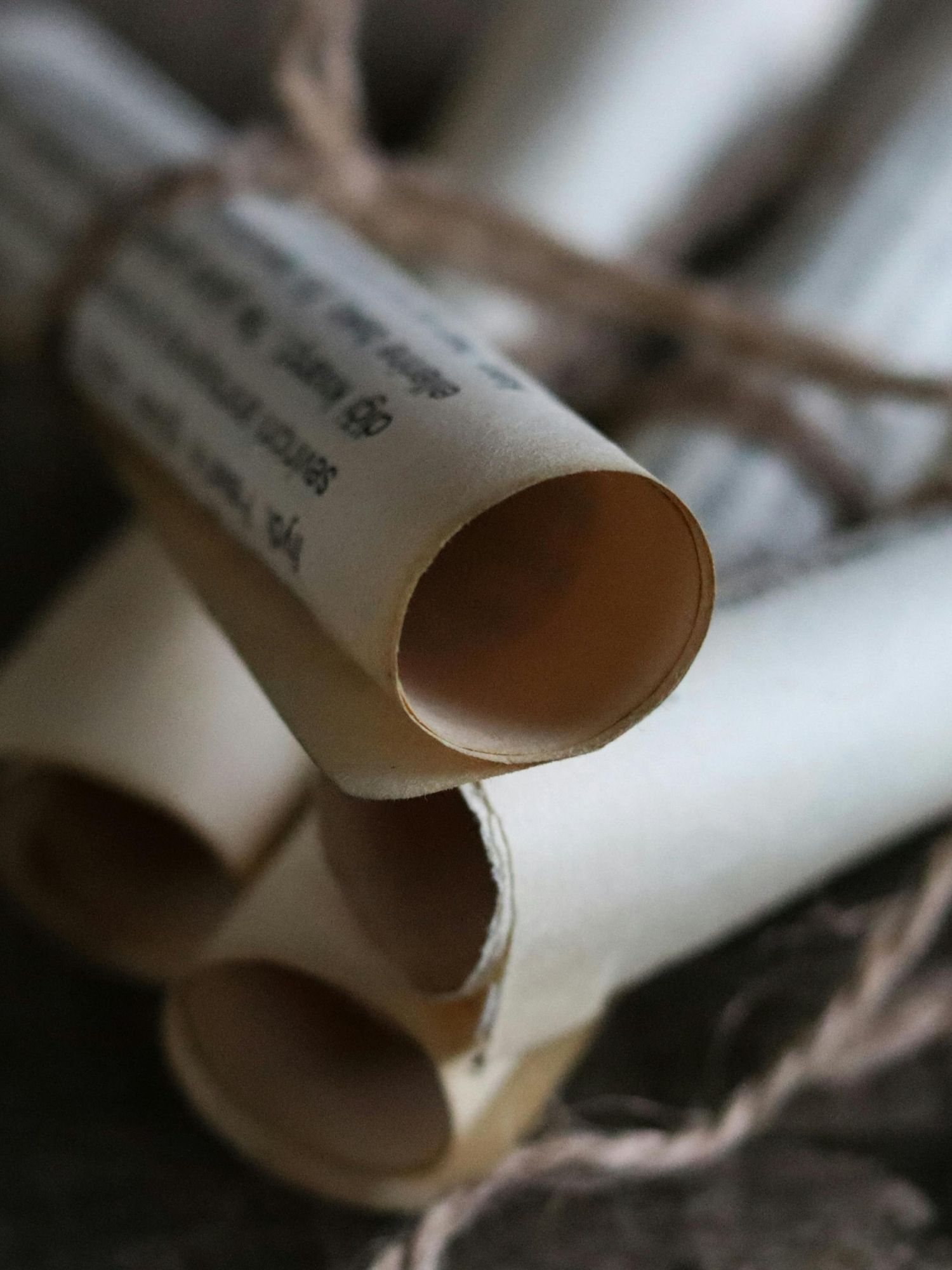 Scientists offer huge cash prize to anyone that can decipher ancient scrolls