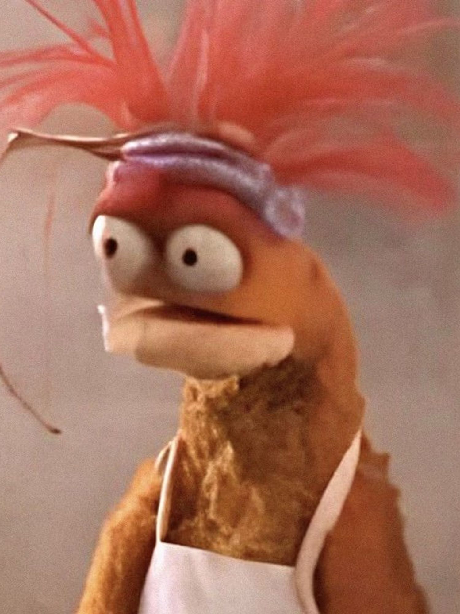 Where is the Orange Muppet ‘Pepe the King Prawn’ awkward meme from?