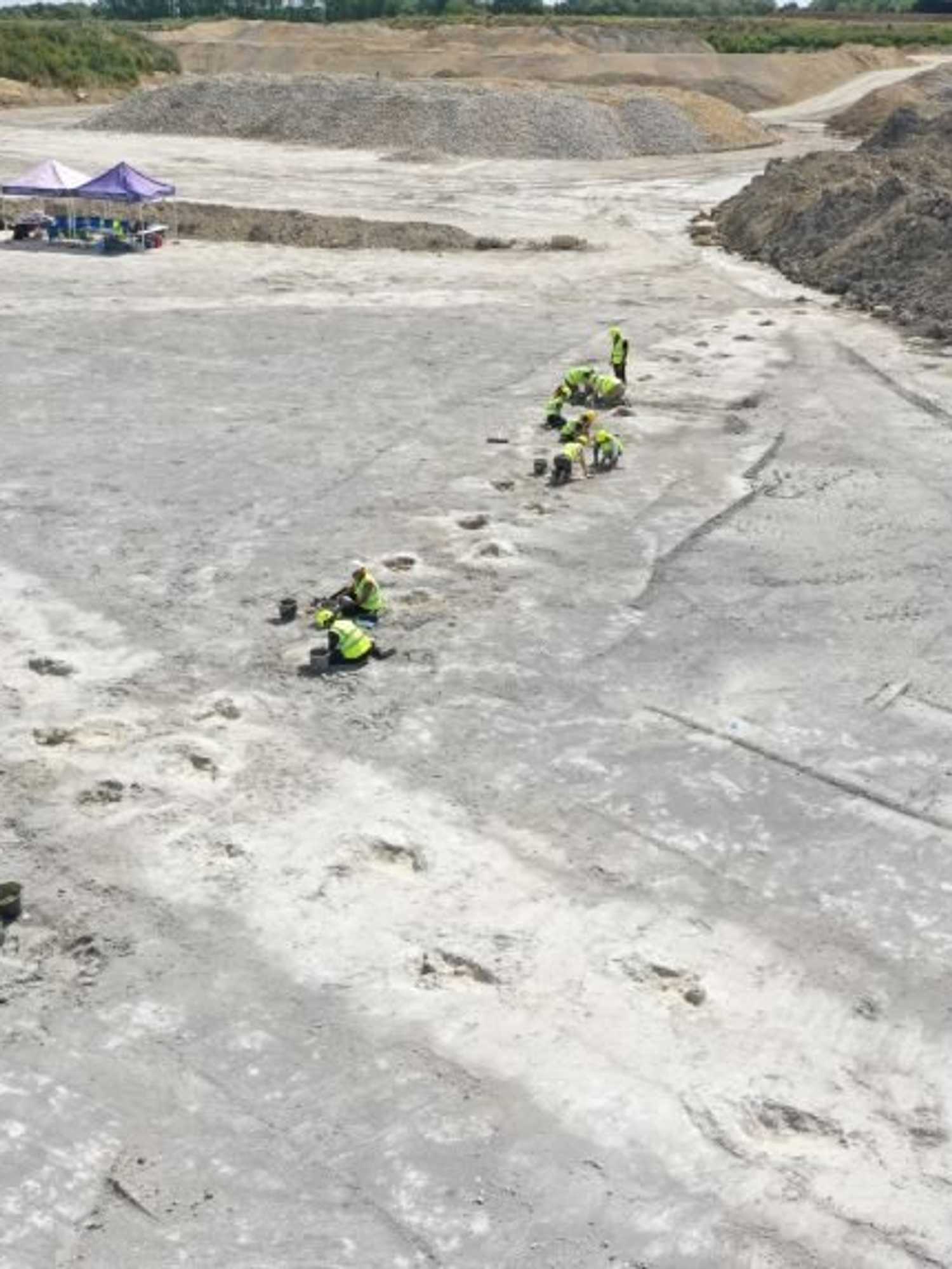 Huge dinosaur footprints discovered as scientists find 'dinosaur highway'