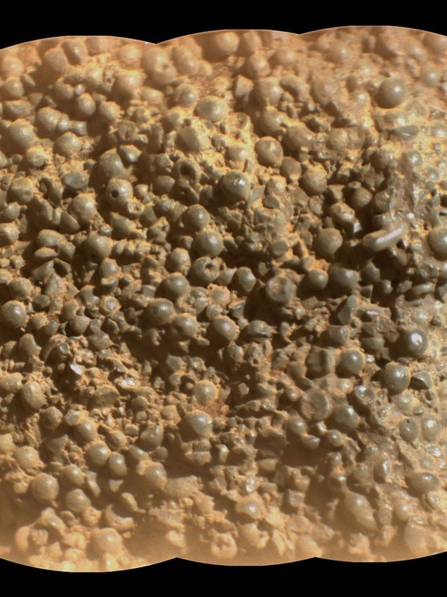 Strange spherules discovered on Mars by NASA's Perseverance rover - but what do they mean?