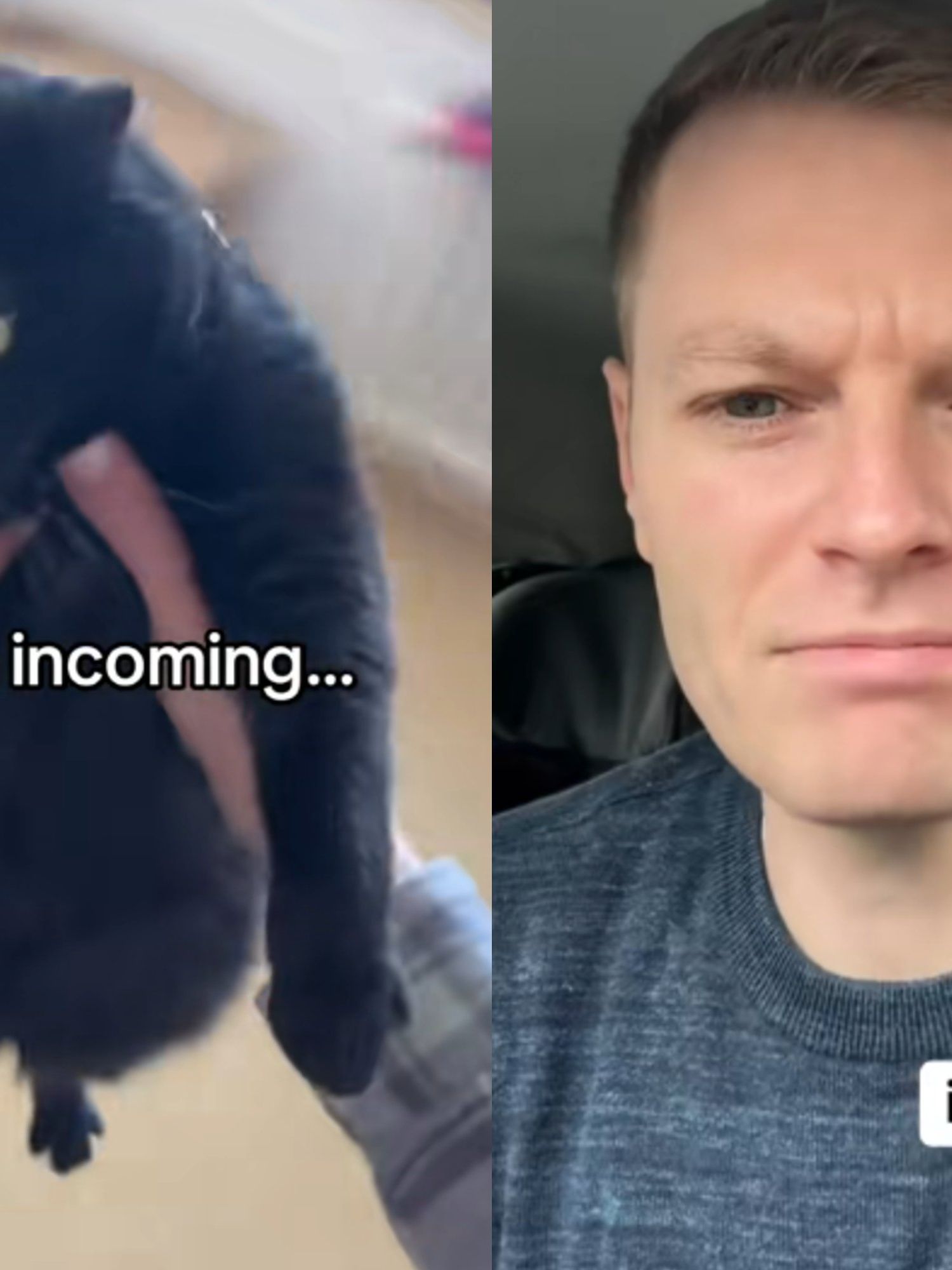 TikTok vet urges social media users to avoid potentially dangerous and ‘unfunny’ cat trend