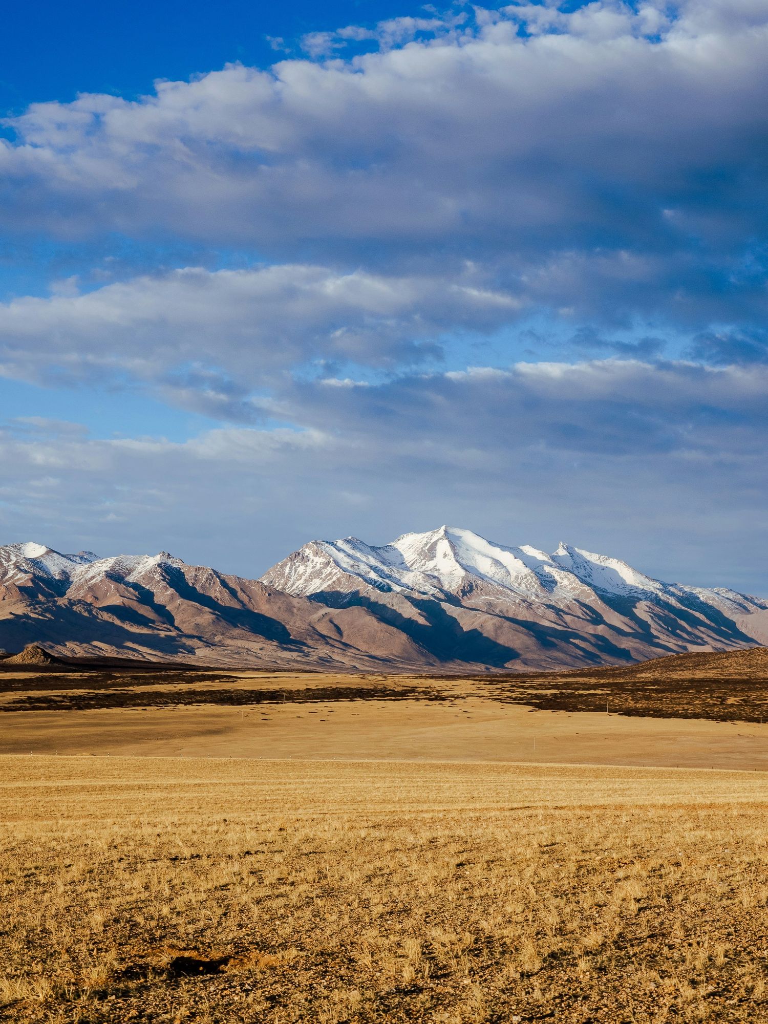 Tibetan Plateau residents show how humans are still evolving today