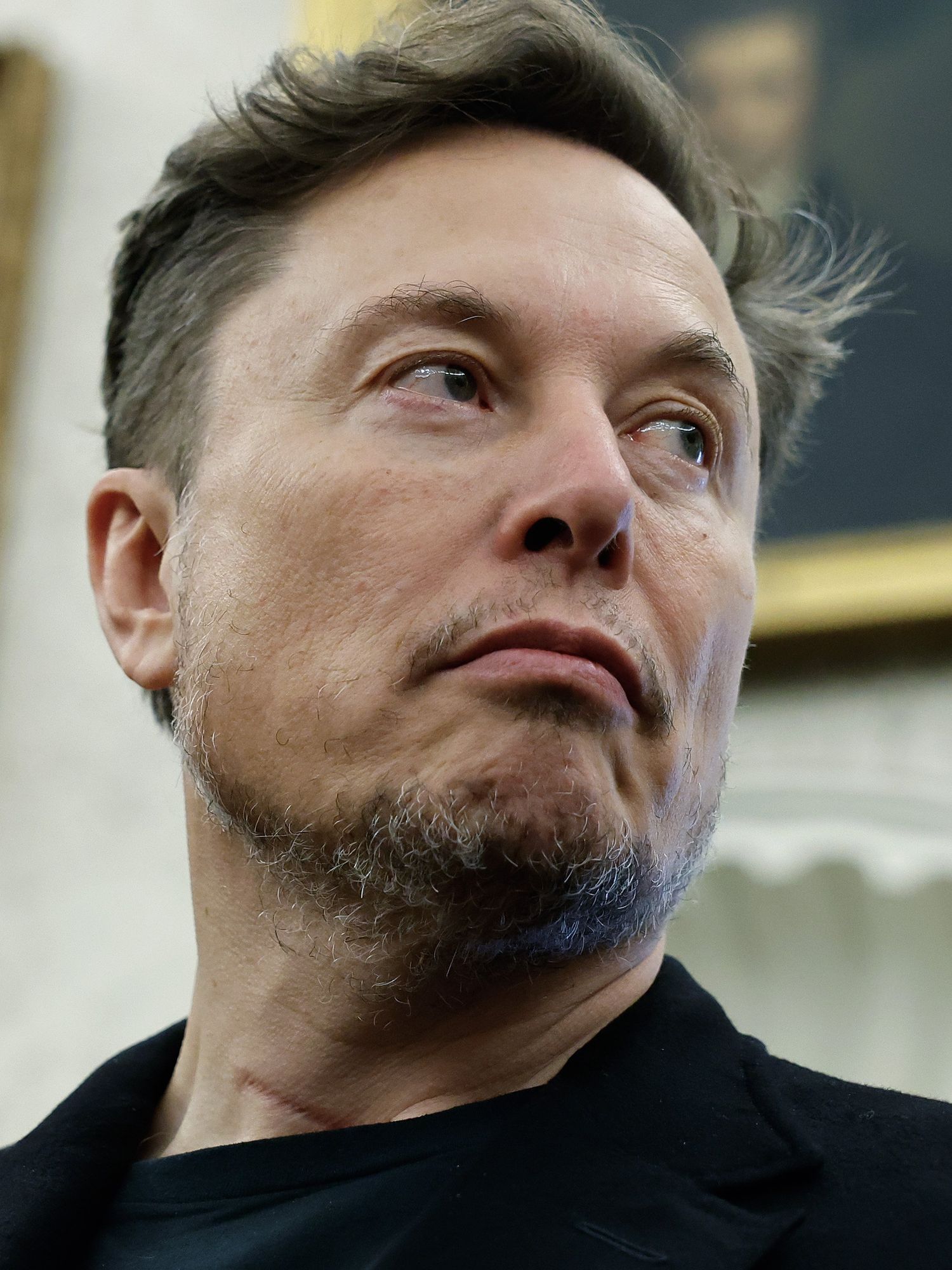 Elon Musk leaves Trump administration as father admits he's 'not a very good politician'