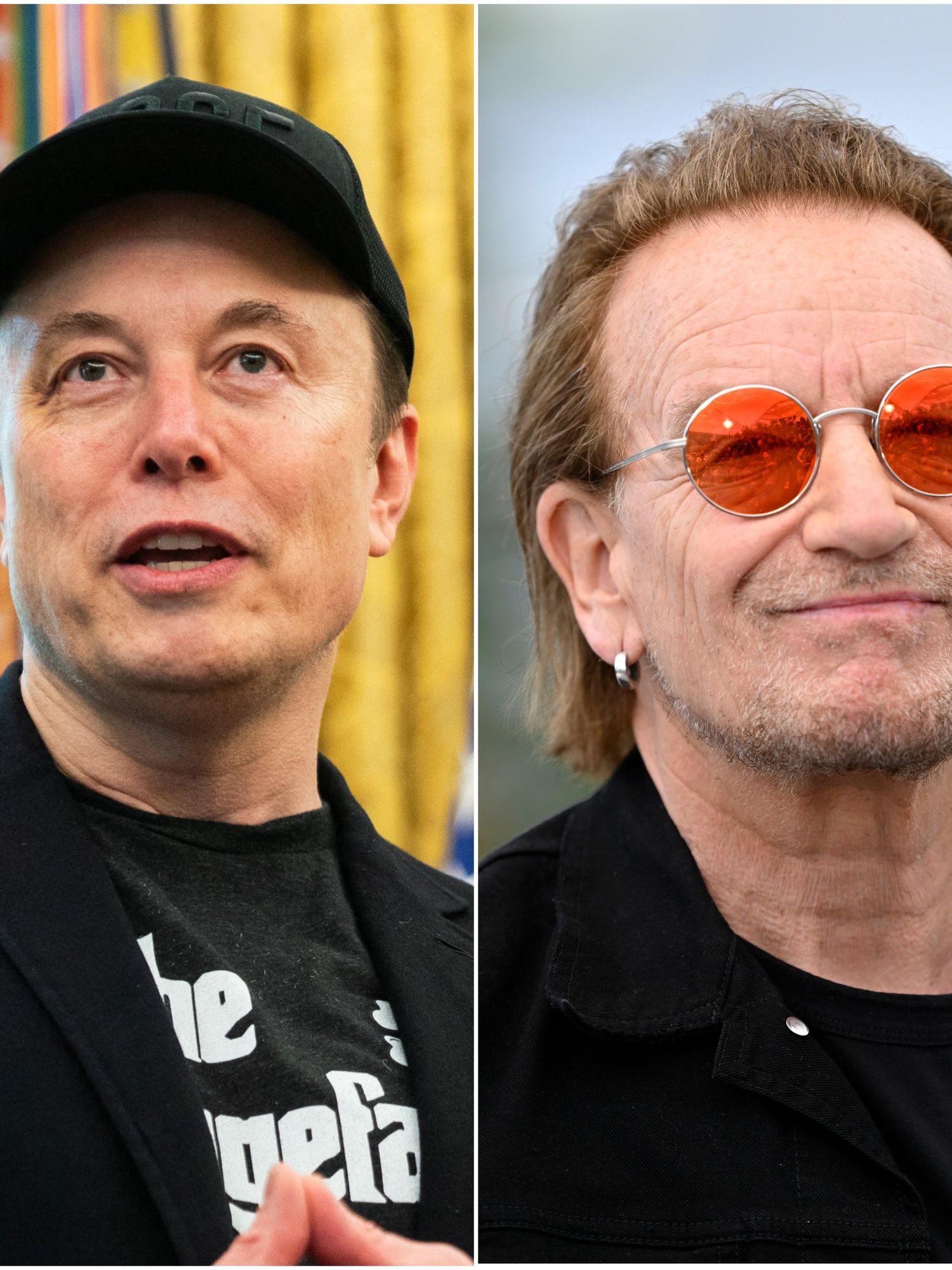 Elon Musk brands Bono a 'liar/idiot' over DOGE USAID cuts claim on Joe Rogan podcast