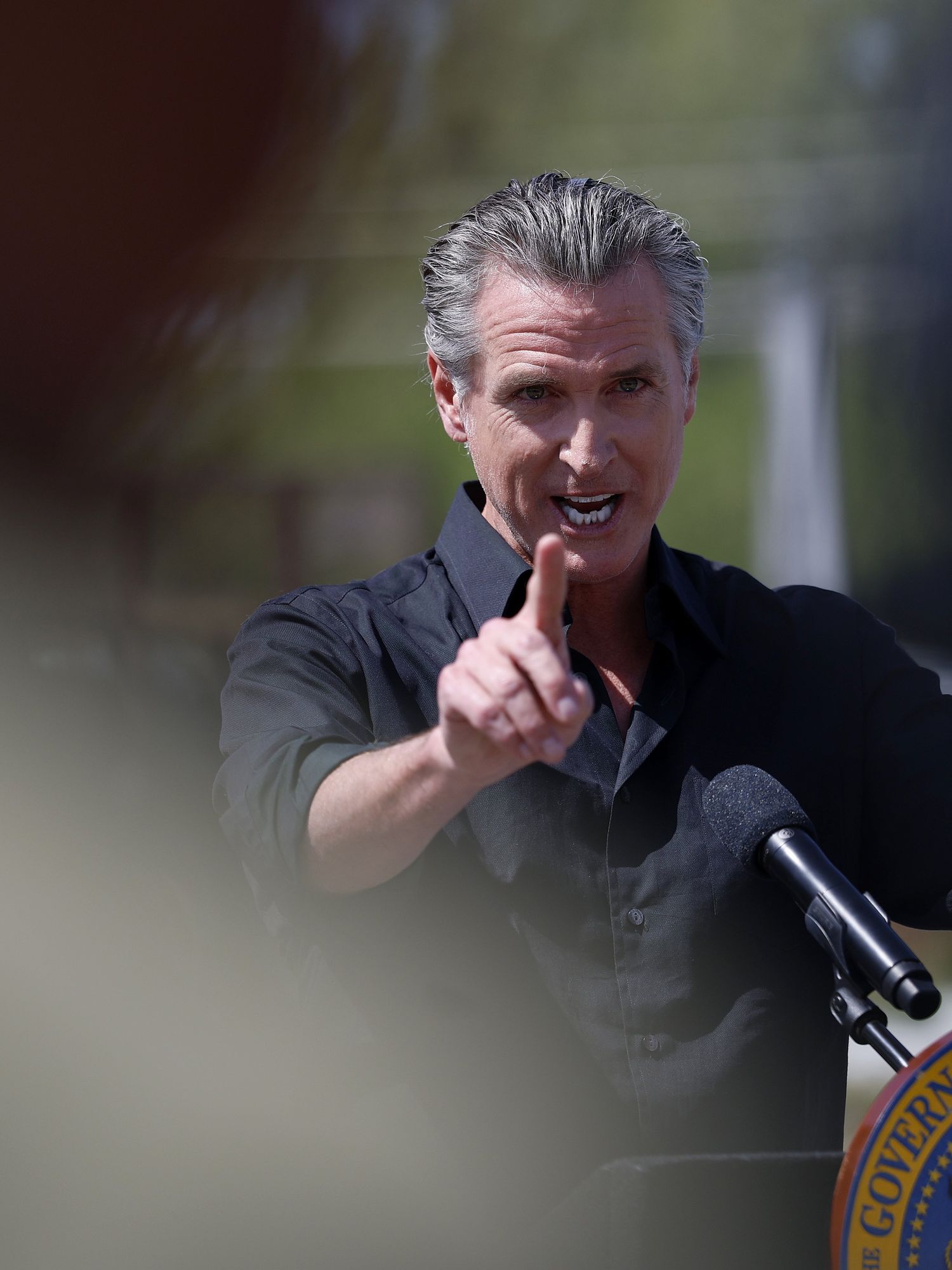 'Arrest me let's go': Reaction as California governor Gavin Newsom challenges Trump's border czar