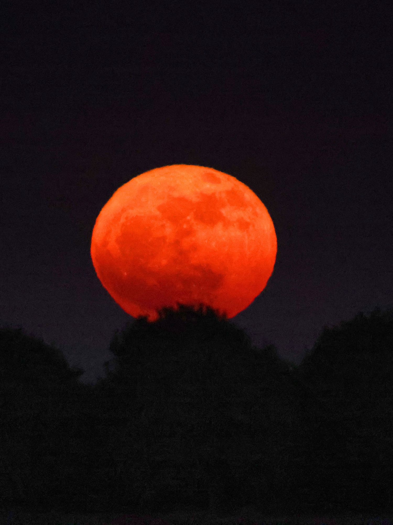 Everything you need to know about tonight's buck moon illusion