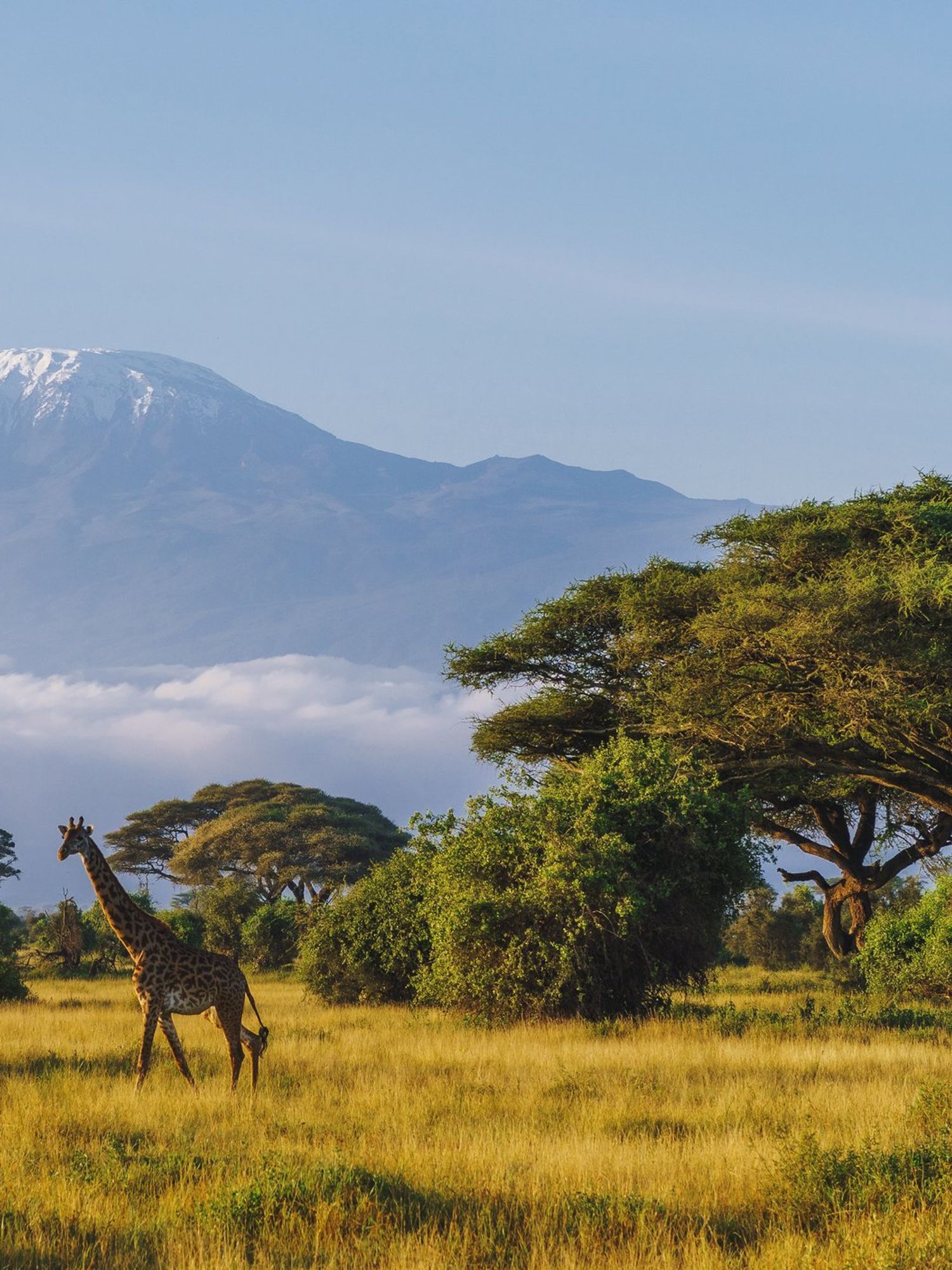 Scientists have discovered two giant mystery structures lurking under Africa