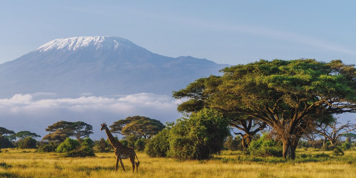 Scientists have discovered two giant mystery structures lurking under Africa