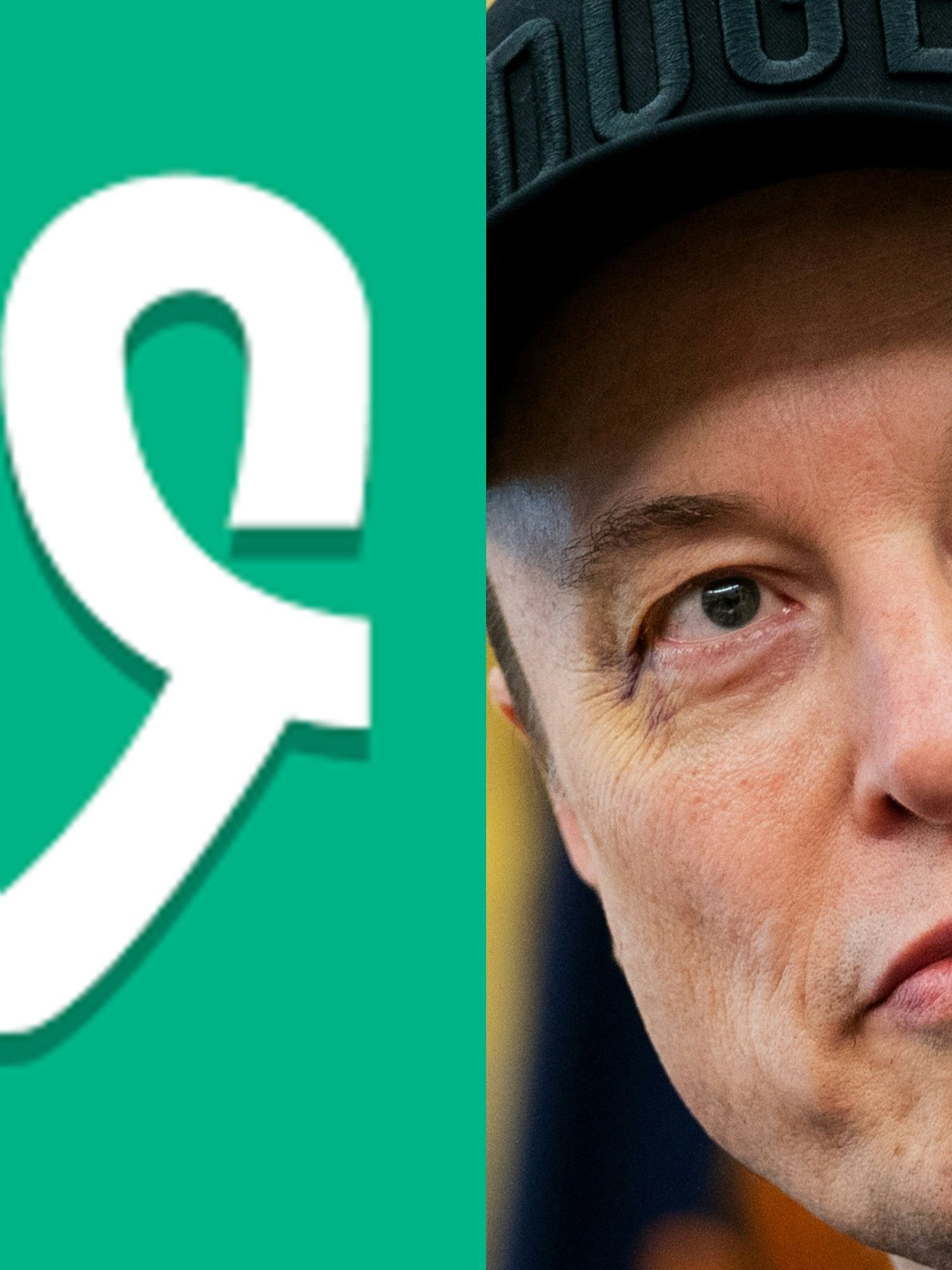 Elon Musk says he’s bringing back Vine 'in AI form' - and people aren't happy