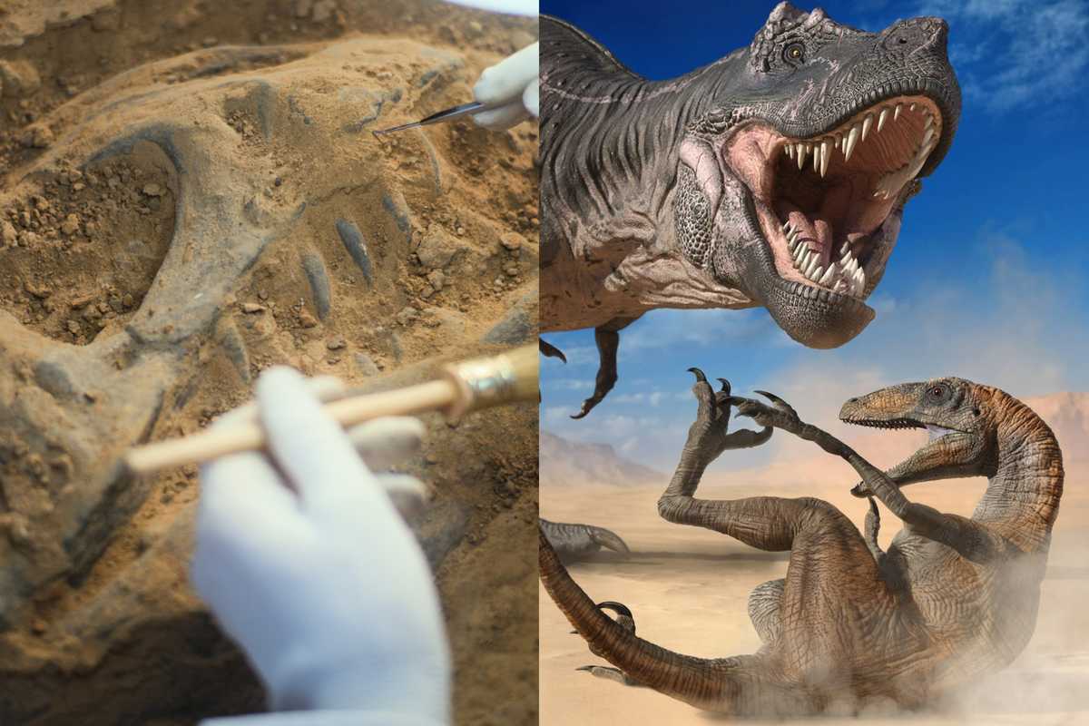 The 225-million-year-old fossil that changes everything we know about dinosaurs