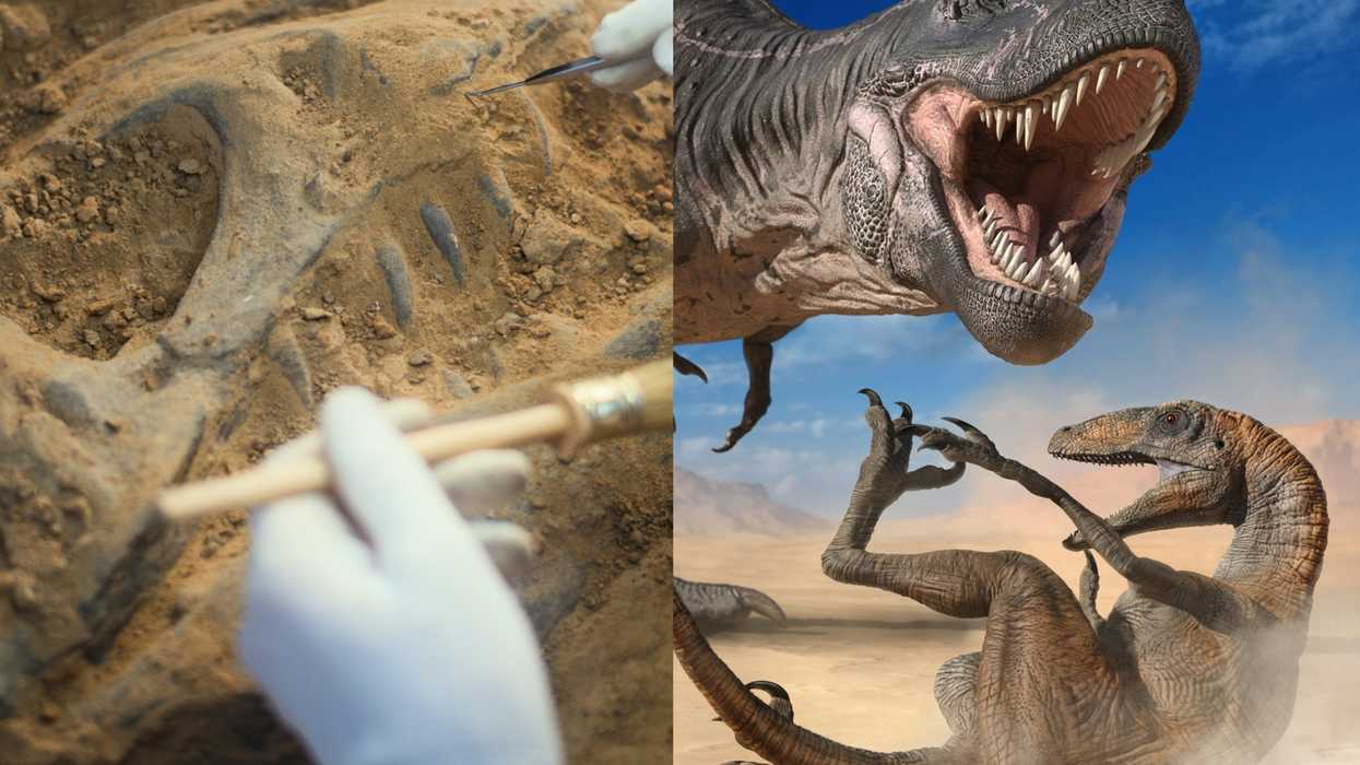 The 225-million-year-old fossil that changes everything we know about dinosaurs