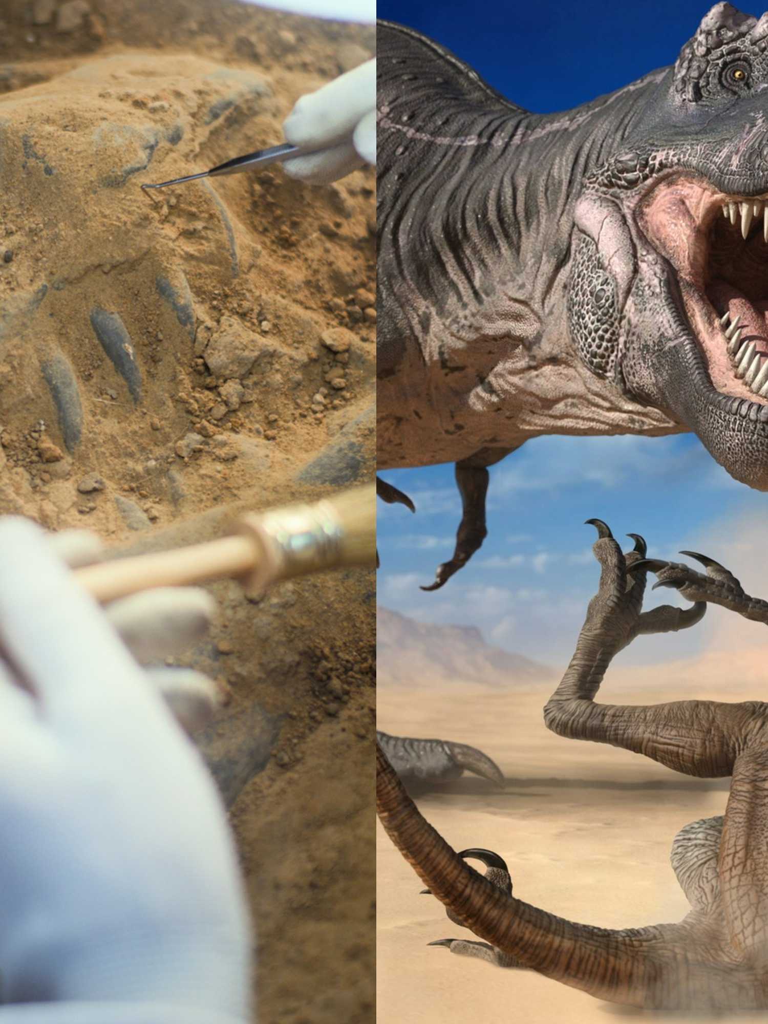 The 225-million-year-old fossil that changes everything we know about dinosaurs