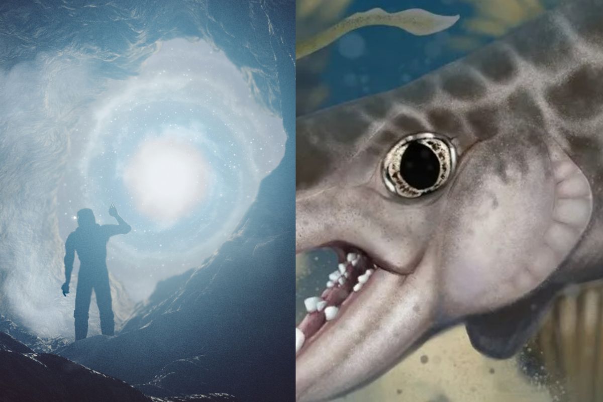 Scientists just discovered an unknown species hidden in the world's longest cave