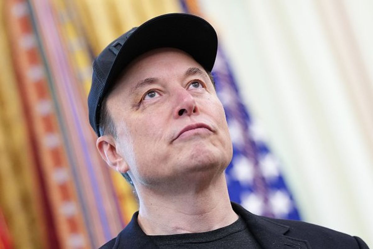 Elon Musk endorses Advance UK following Epping asylum ruling - but what is it?