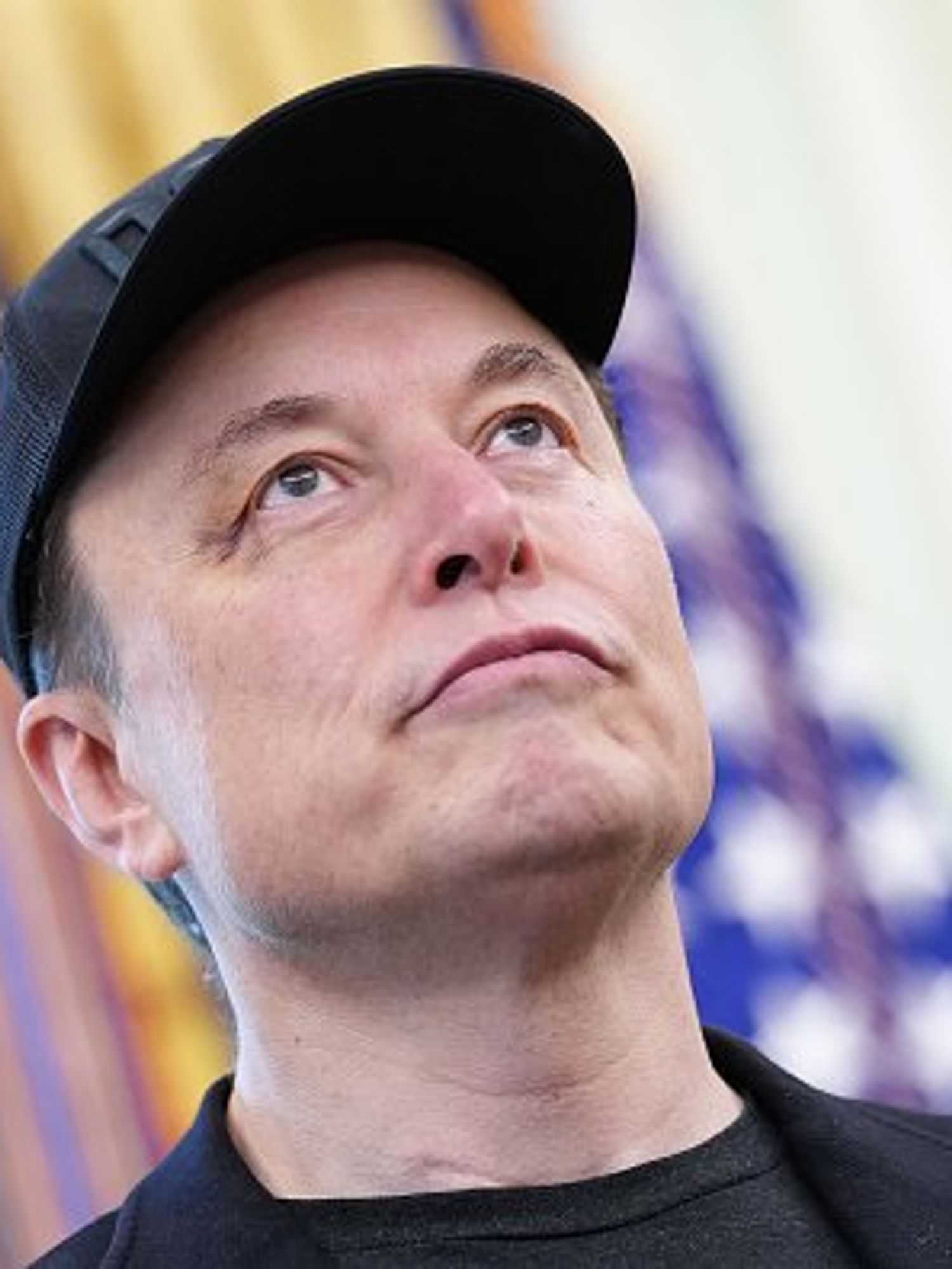 Elon Musk endorses Advance UK following Epping asylum ruling - but what is it?