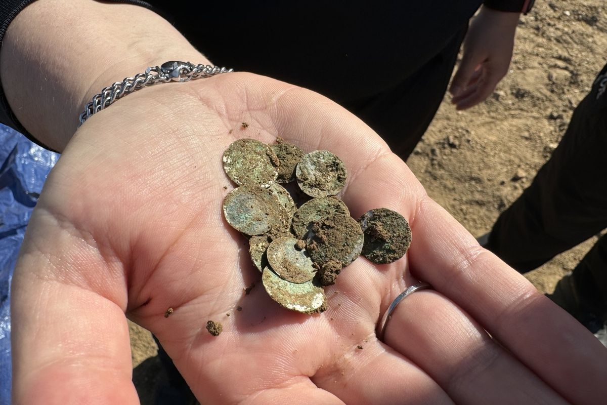 Treasure accidentally discovered on a walk dubbed 'one of the greatest finds of the last decade'