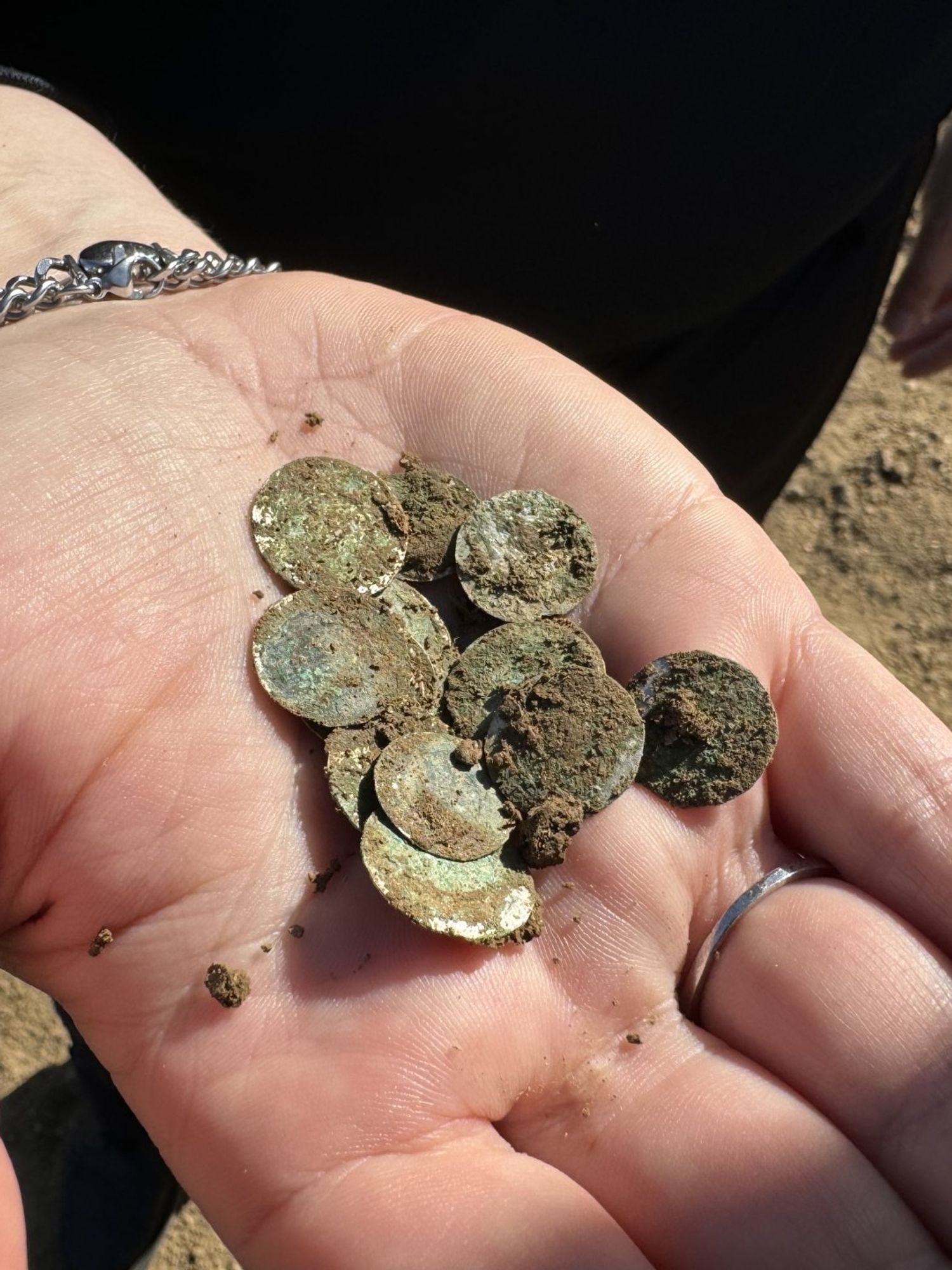 Treasure accidentally discovered on a walk dubbed 'one of the greatest finds of the last decade'