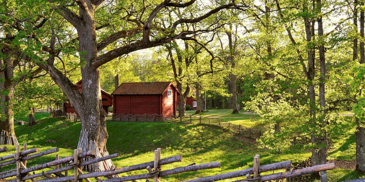 Doctors are now ‘prescribing’ trips to Sweden for one ‘essential’ reason