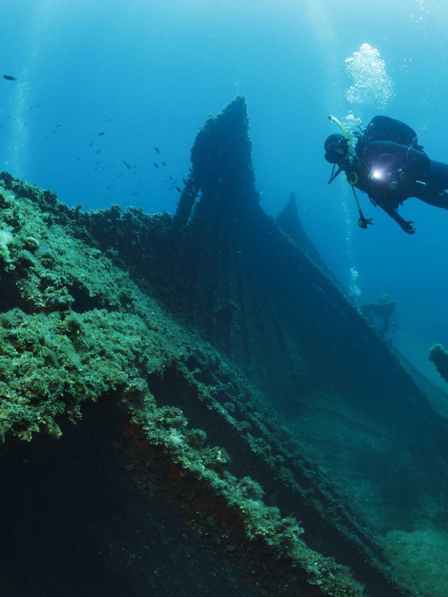 Divers discover $1m worth of treasure in most appropriately named location