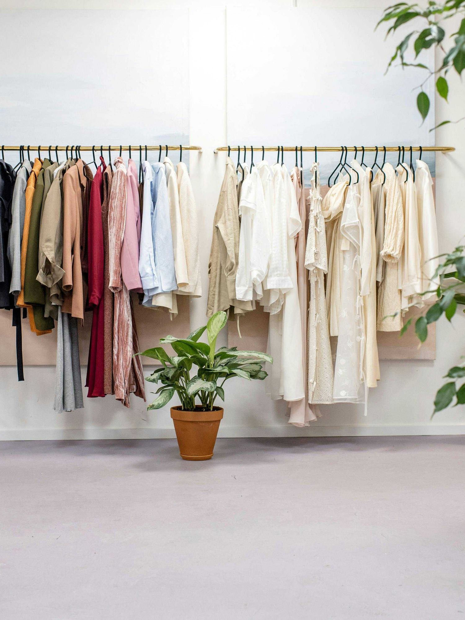 Using TikTok’s colour theory could save you ‘thousands’ on clothes, say experts