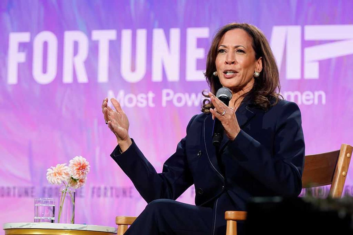 Kamala Harris drops biggest hint yet that she could run for US president again
