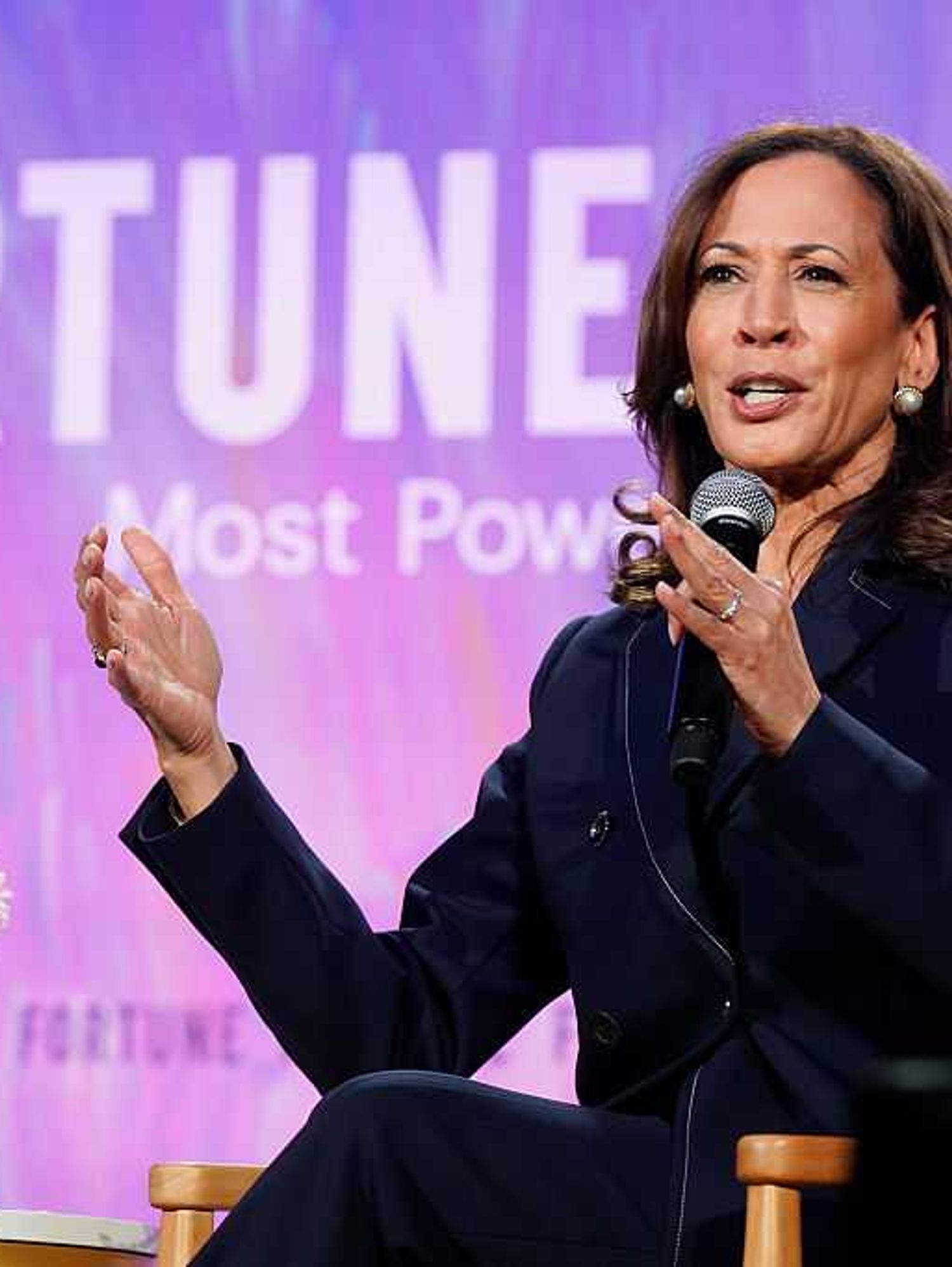 Kamala Harris drops biggest hint yet that she could run for US president again