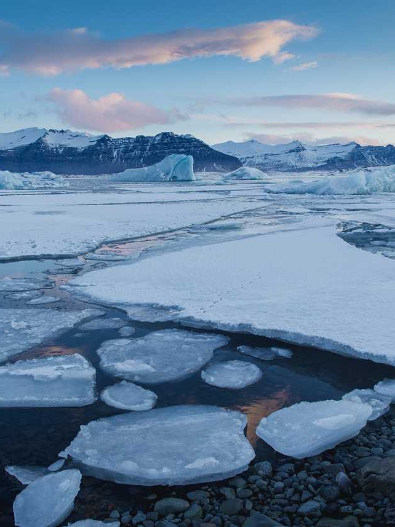 Ancient 40,000-year-old organisms hidden beneath the Arctic could damage the Earth