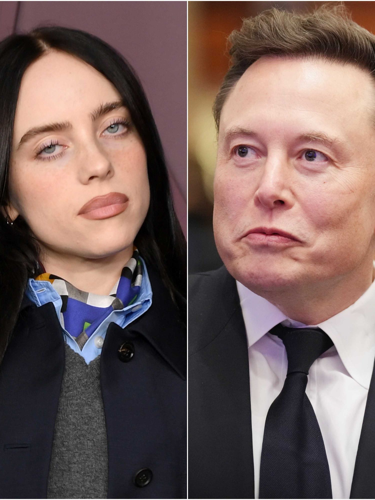 Billie Eilish has some choice words for 'pathetic' near-trillionaire Elon Musk