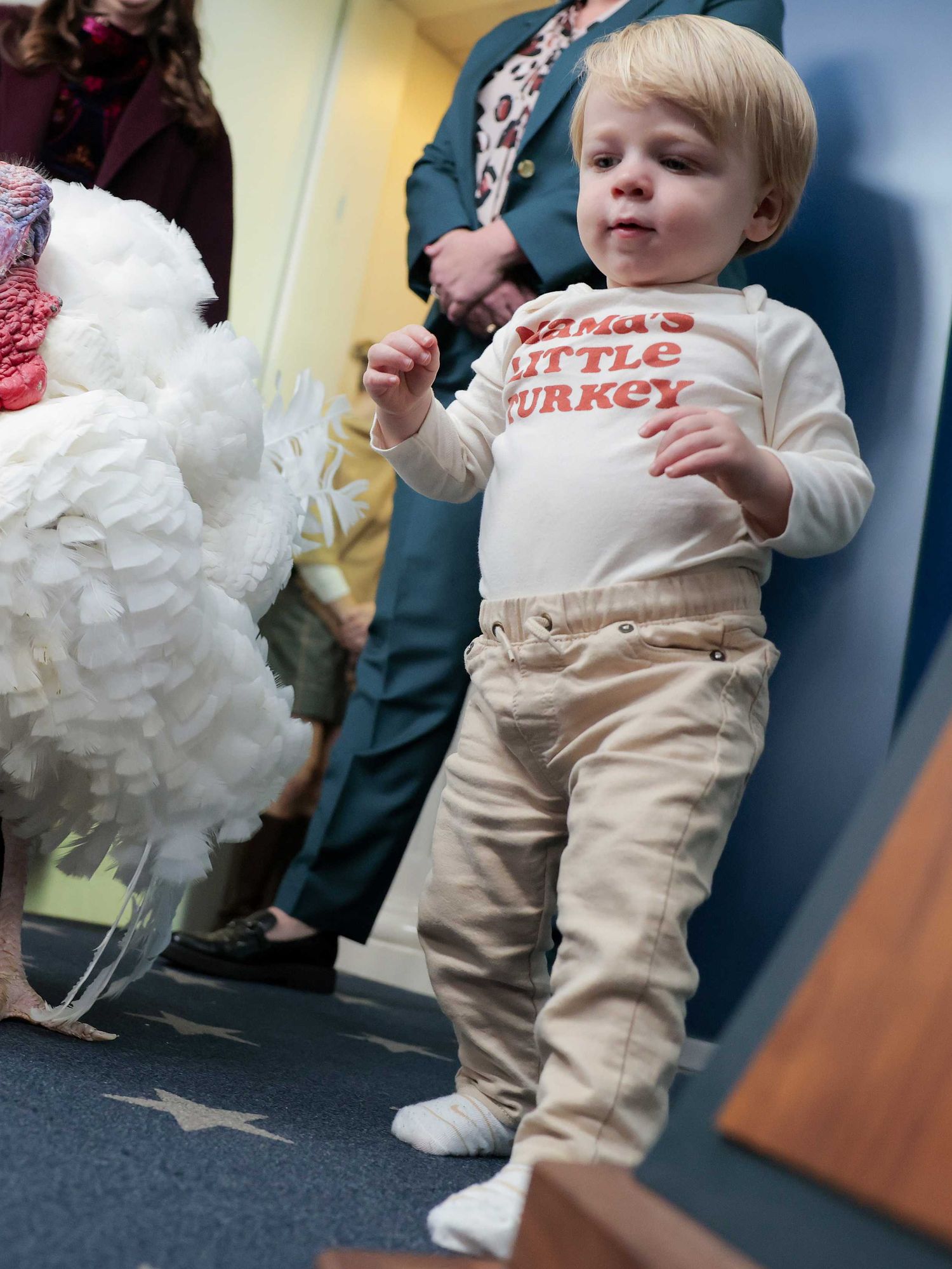 Watch: Karoline Leavitt's son plays alongside huge pardoned thanksgiving turkey