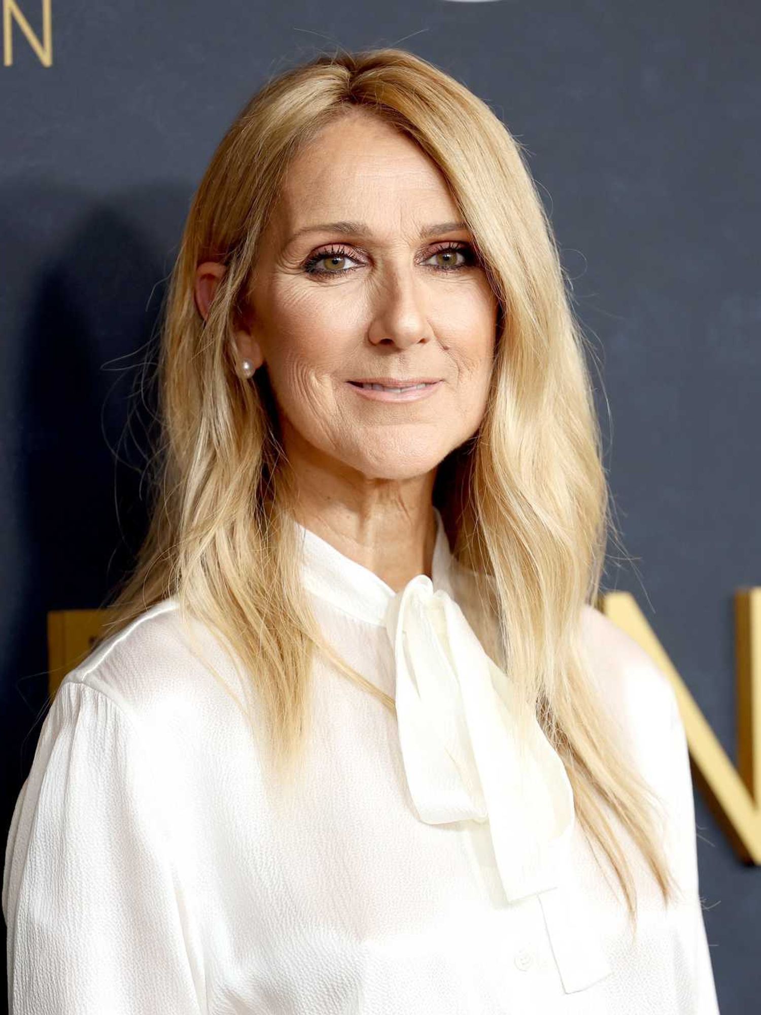 Céline Dion shares emotional Thanksgiving video message: 'Today is a beautiful reminder to slow down'