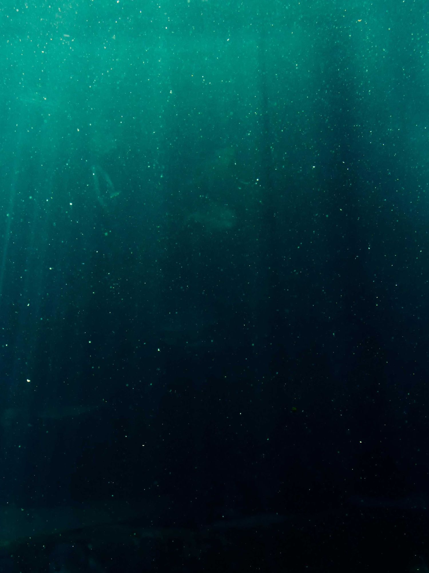 'Alien' suddenly transforms into a totally different creature in jaw-dropping underwater footage