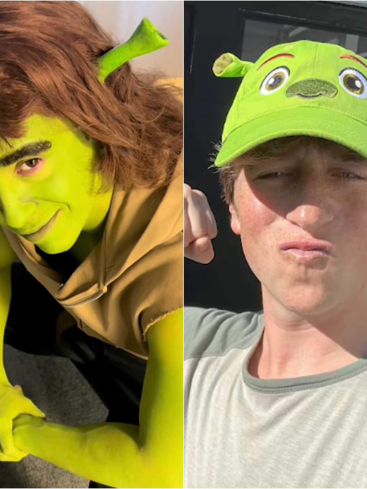 Two new stars have just joined the Shrek 5 voice cast and everyone's losing it