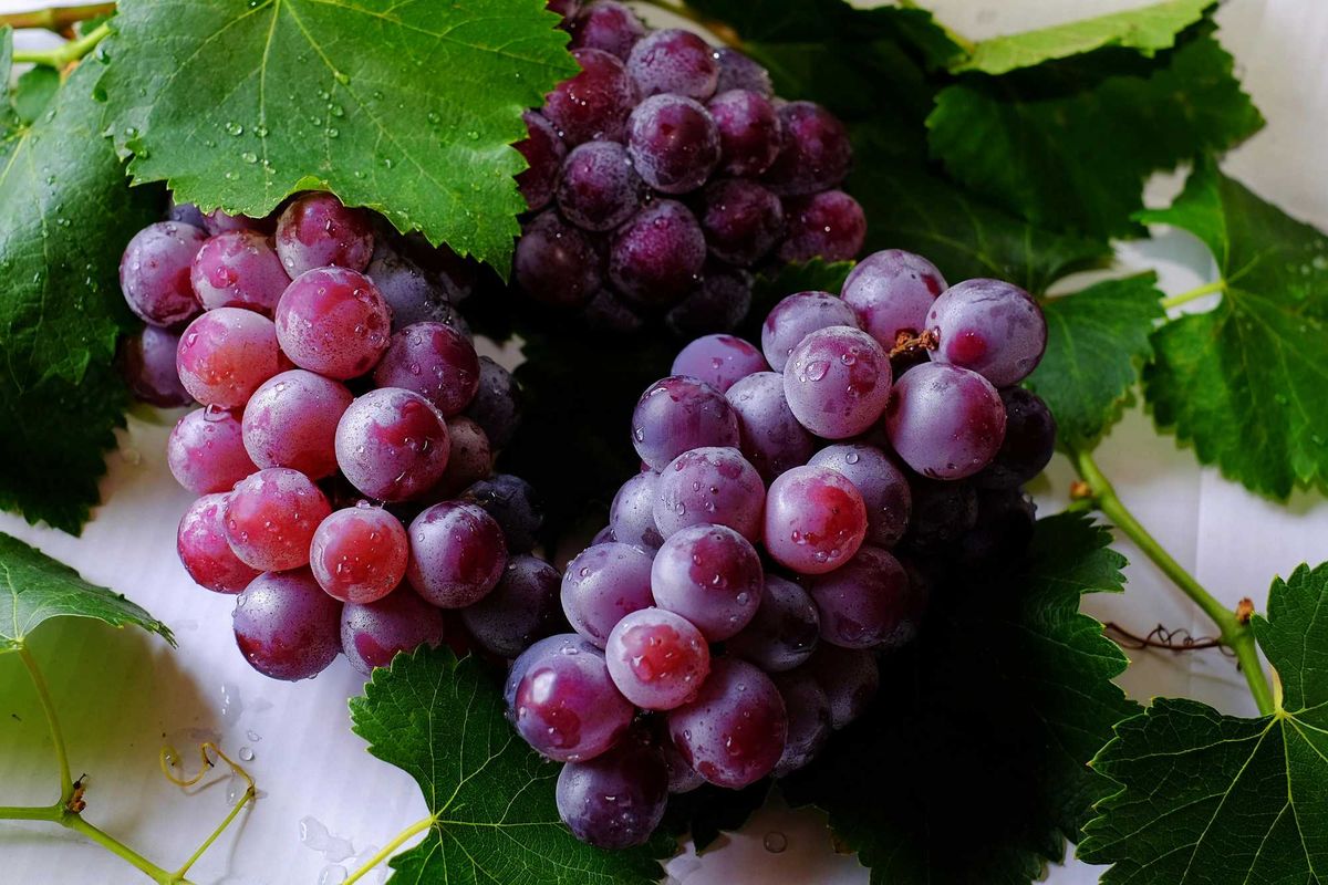 What is the '12 grape theory' for New Year's Eve going viral on TikTok?