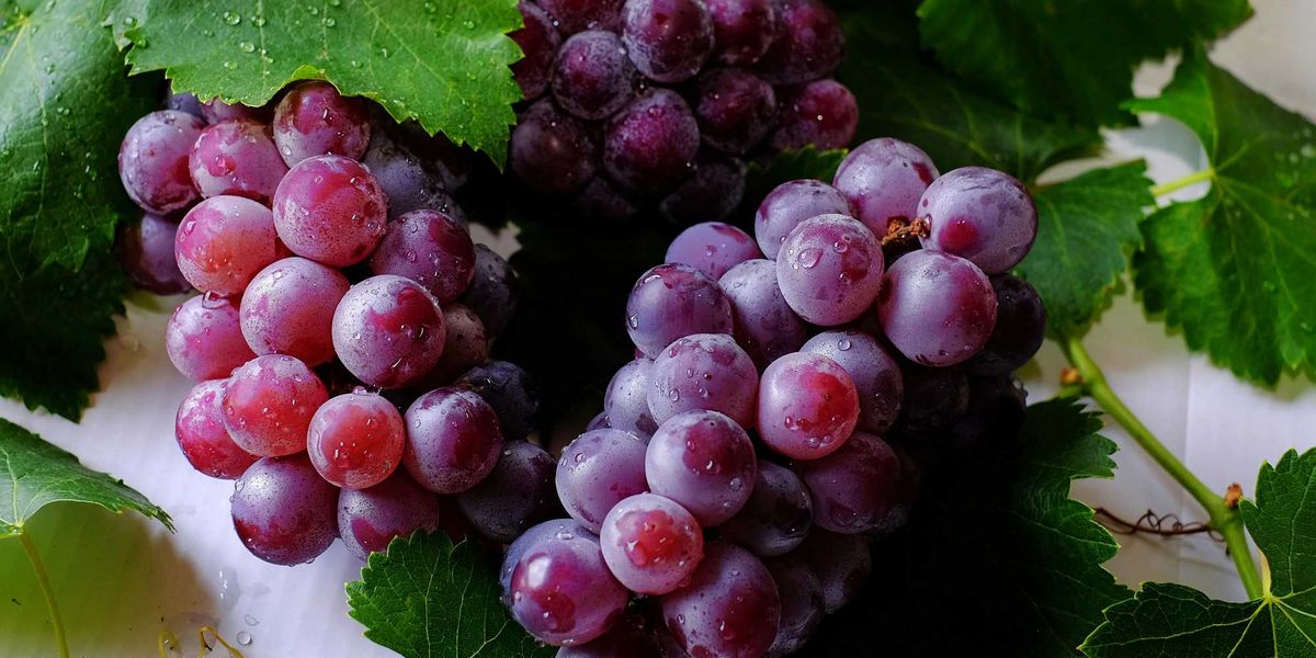 What is the '12 grape theory' for New Year's Eve going viral on TikTok ...