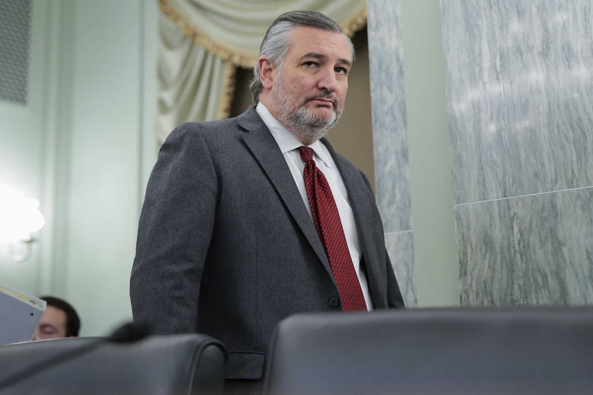 Ted Cruz claims becoming American is the 'greatest gift we can give anyone' - not everyone agrees