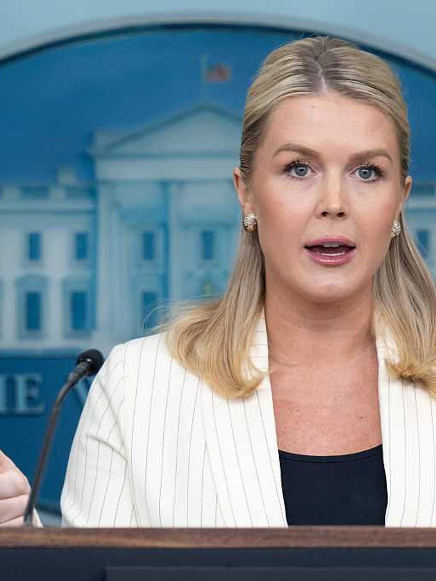 Karoline Leavitt faces backlash after five-word comment on Epstein files