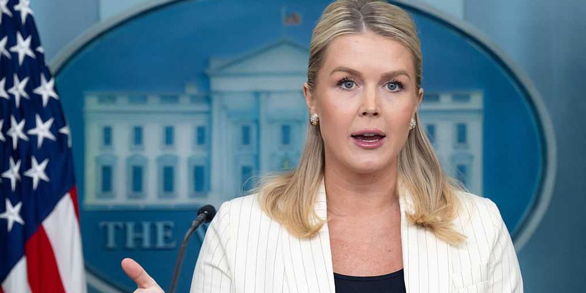 Karoline Leavitt faces backlash after five-word comment on Epstein ...