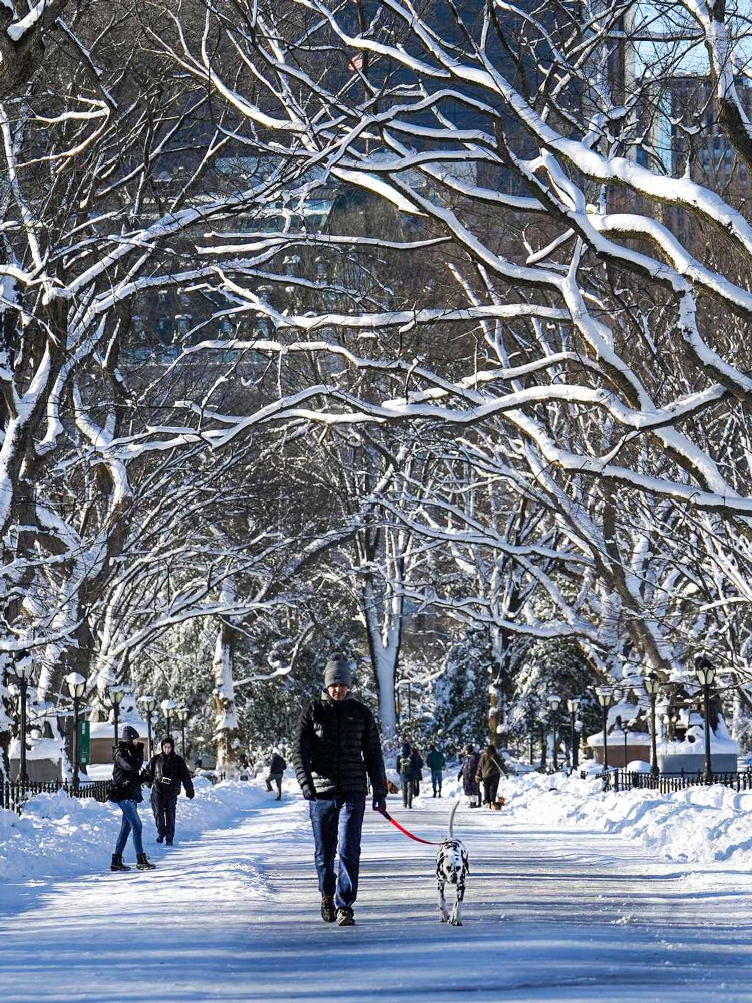 Central Park becomes winter wonderland as 19 inches of snow fall